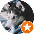Julia profile picture